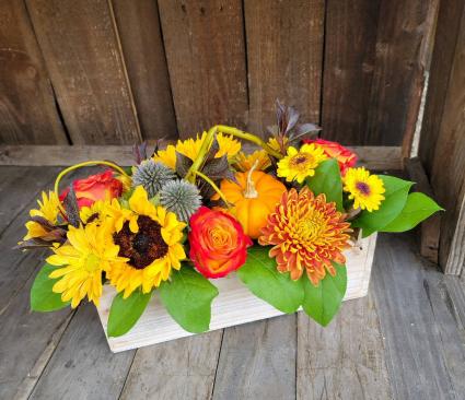 Pumpkin Patch Fresh Floral Design