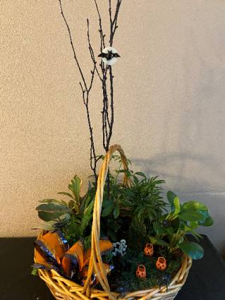 pumpkin patch planter basket in Renton, WA | Alicia's Wonderland II pumpkin patch planter basket in Renton, WA | Alicia's Wonderland II