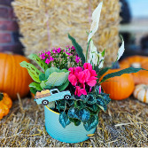 Pumpkin Patch Planter Dish Garden