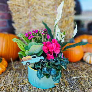 Pumpkin Patch Planter Dish Garden
