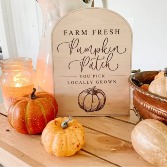 Pumpkin Patch Wood Sign Gift