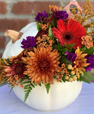 Pumpkin Perfection  in Flagstaff, AZ | SUTCLIFFE FLORAL & GIFTS