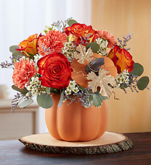 Pumpkin Petals 1-800 flowers bouquet in Saint Louis, MO | SOUTHERN FLORAL SHOP Pumpkin Petals 1-800 flowers bouquet in Saint Louis, MO | SOUTHERN FLORAL SHOP