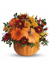 Pumpkin Pie & Spice Ceramic Pumpkin Mum and daisy floral