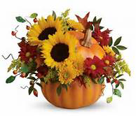 Pumpkin Pie Ceramic Pumpkin with Fall Flowers in Monument, CO | Enchanted Florist