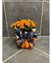 Pumpkin Planter 