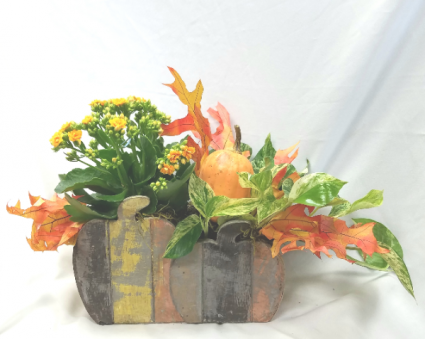Pumpkin Planter Planter