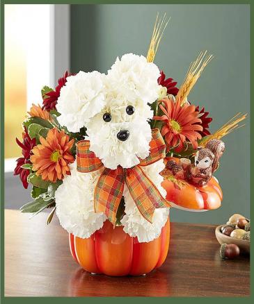 Pumpkin Pooch Will Not Come With Lid in Arlington, TX | Erinn's Creations Florist