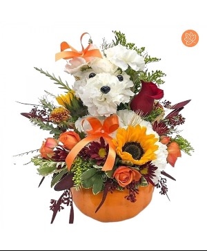 Pumpkin Pooch Flower Arrangement