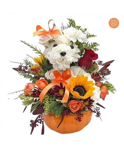 Pumpkin Pooch Flower Arrangement