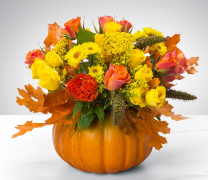 Pumpkin Power Arrangement