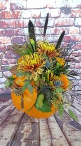 PUMPKIN SPICE in Davis, CA | STRELITZIA FLOWER CO. PUMPKIN SPICE in Davis, CA | STRELITZIA FLOWER CO.