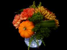 Category Image