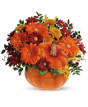 Pumpkin Spice 