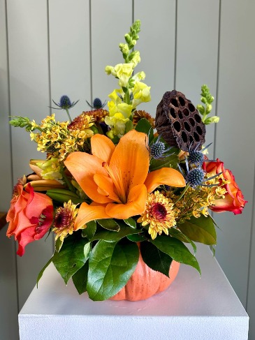 Pumpkin Spice  in Frisco, TX | PATTI ANN'S FLOWERS