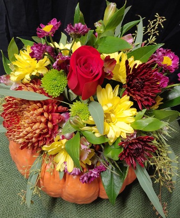 Pumpkin Spice  in Moody, AL | DREAMCATCHER FLOWER SHOP & GIFTS