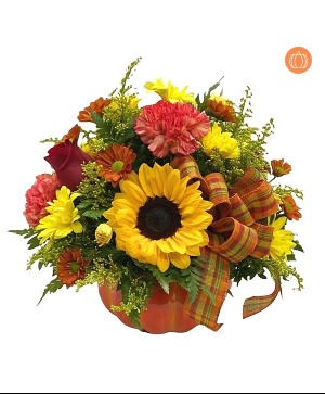 Pumpkin Spice Fresh Arrangement