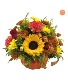 Pumpkin Spice Fresh Arrangement