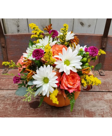 Pumpkin Spice  Fresh Arrangement in Whitehall, MI | WHITE LAKE GREENHOUSES FLORAL