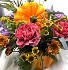 Pumpkin Spice Garden Seasonal Arrangement