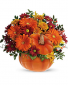 Pumpkin Spiced Fall Florals 