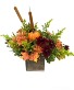 Pumpkin Square Fall Arrg in wooden container