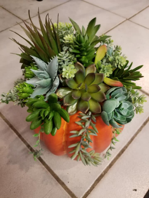 Pumpkin Succulent arrangement Artificial