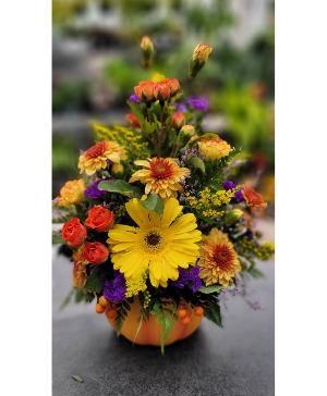 Pumpkin Table Arrangement 