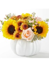 Pumpkin to Talk About Arrangement 