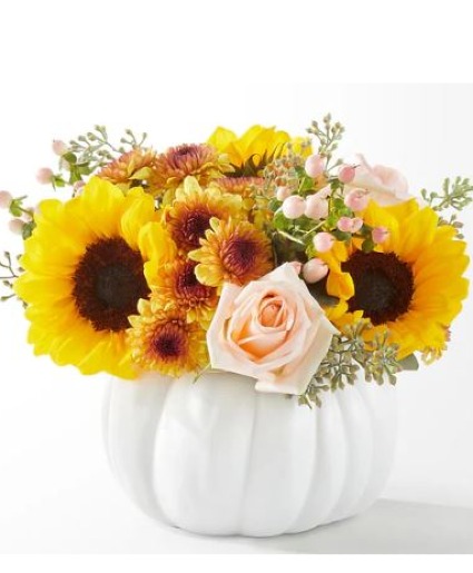 Pumpkin to Talk About Arrangement 