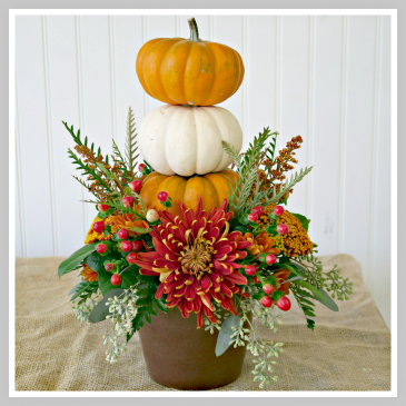 Pumpkin Trio