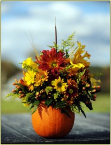 Pumpkin Up! Fresh Arrangement