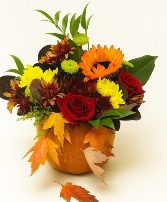 Pumpkin vibes 1– Designers choice  Arrangements 