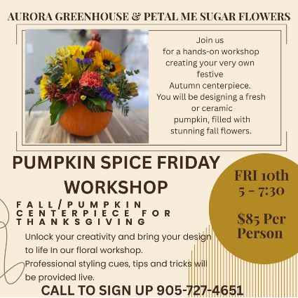 Pumpkin workshop