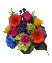 M6 Punch of Color  in Troy, Michigan | ACCENT FLORIST