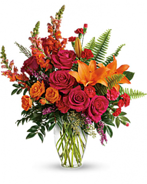 Punch of Color  TEV56-2A 