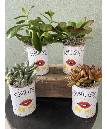 Punny Cans  in Eunice, LA | PETALS & POTS, LLC