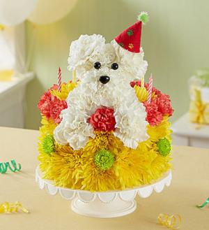 Pup cake  Birthday 