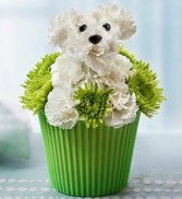 Pup-Cake In Bloom a-DOG-able