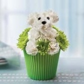 Pup-cake in Bloom All Around