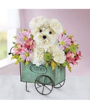 PUP IN POSIES 