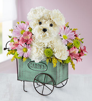 Pup N’ Posies™ in Valley City, OH | HILL HAVEN FLORIST & GREENHOUSE Pup N’ Posies™ in Valley City, OH | HILL HAVEN FLORIST & GREENHOUSE