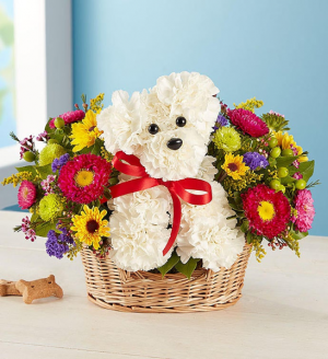 Puppy Love Arrangement in Keystone Heights, FL | FLOWER PETALS Puppy Love Arrangement in Keystone Heights, FL | FLOWER PETALS