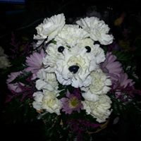 Puppy Love Basket arrangement