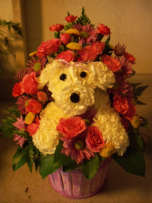 Puppy Love  Basket arrangement 