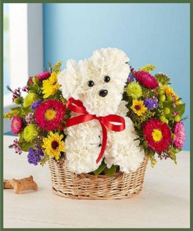 Puppy Love Best Seller!