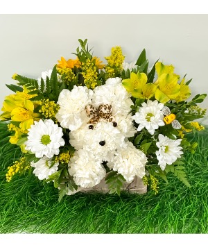 Puppy Love Blooms Basket Design