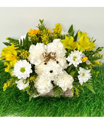 Puppy Love Blooms Basket Design in Troy, NY | PAWLING FLOWERS & GIFTS