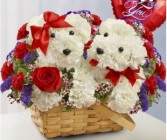 Puppy Love Carnations