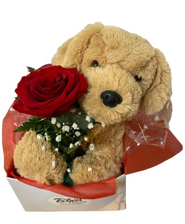 PUPPY LOVE Valentines Day Special in Lewiston, ME | BLAIS FLOWERS & GARDEN CENTER PUPPY LOVE Valentines Day Special in Lewiston, ME | BLAIS FLOWERS & GARDEN CENTER